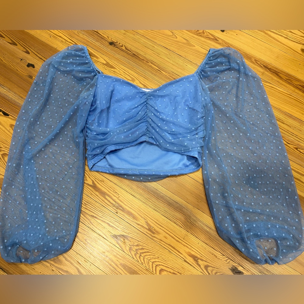 Blue Sheer Polka Dot Crop Top